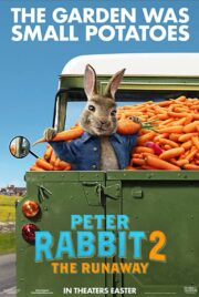 Peter Rabbit 2: Kaçak Tavşan izle