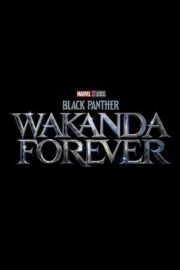 Black Panther: Wakanda Forever izle